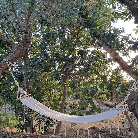 Olive Land - γη τησ ελιασ / Stone Villa. * Gouves