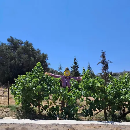 Olive Land - γη τησ ελιασ / Stone Villa. Villa Gouves